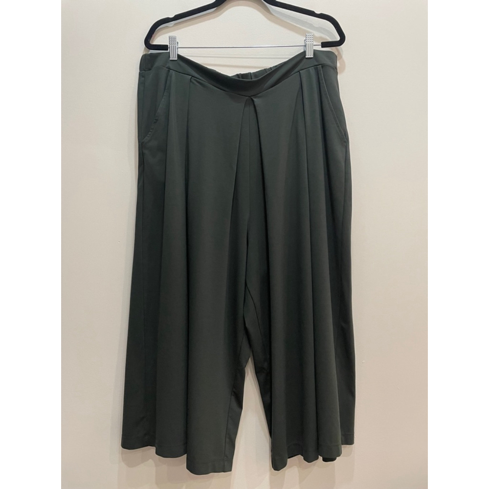 Banana Republic High Rise Wide Leg Crop Palazzo Pants 1X Pleated Lagenlook